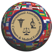 international logo